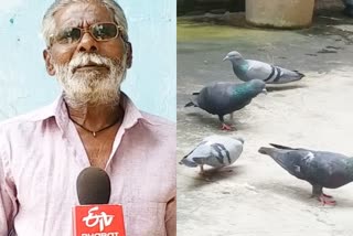 bird lover harmendra sahu