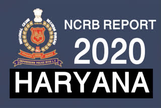 criminal records increase in haryana in 2020