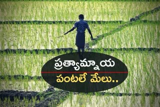 రైతు