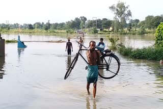 ହୀରାକୁଦ ଗେଟ ଖୋଲିବା ପରେ ମାଳତୀ ଗୁଣ୍ଡେରପୁର ବ୍ରିଜ ଉପରେ ୪ ଫୁଟର ପାଣି