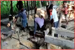 Large quantity of wood seized with woodmill at bongaigaon