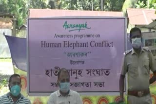 special-measures-taken-by-aronyak-to-prevent-elephant-conflict
