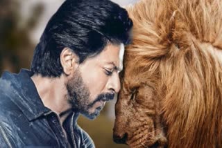 Shah Rukh Khan's upcoming movie will be titled 'LION'