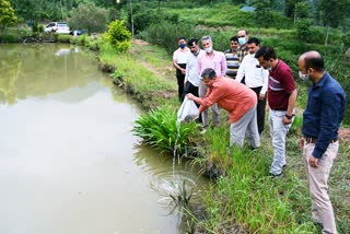 Nauni university start fish farming