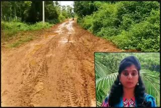 davanagere-dc-visits-a-village-which-need-a-tar-road