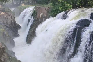 dharmapuri, hogenakkal, ஒகேனக்கல், mesmerizing hogenakkal falls view, ஒகேனக்கல் அருவி, hogenakkal falls