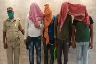 r criminals of aman sau gang arrested