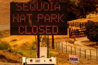 A sign announces the closure of Sequoia National Park, where the KNP Complex Fires are burning