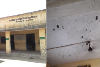 Government Primary School Harinagar