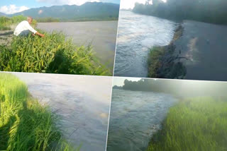 tanakpur land erosion