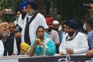 harsimrat kaur says fight will continue over farmer bill