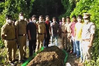 Koottampara Malappuram  Koottampara Crime news  intoxicants Founded in Malappuram  കൂറ്റംമ്പാറ  കൂറ്റംമ്പാറ വാര്‍ത്ത  മലപ്പുറത്ത് കഞ്ചാവ് വേട്ട  മലപ്പുറത്തെ ലഹരി വസ്തു വ്യാപാരം