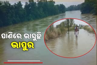 ମୌସୁମୀ ବର୍ଷାରେ ବେହାଲ ନୟାଗଡ ଜିଲ୍ଲା, ଗ୍ରାମବାସୀଙ୍କ ଯାତାୟତ ଠପ୍