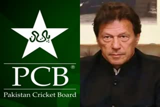 PCB  Pakistan Cricket Board  Jacinda Ardern  New Zealand Cricket  NZC  Sports News  खेल समाचार  Imran Khan
