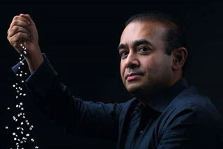 Abundantia Entertainment developing series on Nirav Modi