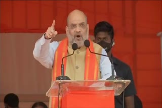 In 2024, Bharatiya Janata Party will form the government in Telangana - Amit Shah