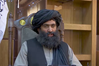 Taliban official on girls' schools, services, NGOs