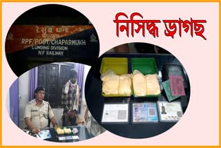 Drugs seized at Chaparmukh junction