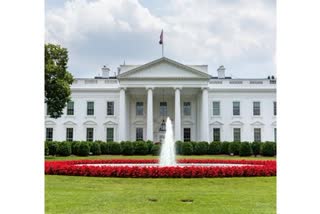 white house