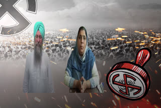 ਆਪ ਨੇ ਕਾਂਗਰਸ 'ਤੇ ਸਾਧੇ ਨਿਸ਼ਾਨੇ