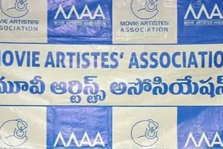 MAA Elections