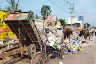 बुरारी मेन सड़क पर गंदगी का अंबार