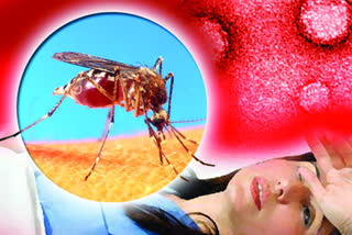 यूपी में डेंगू और वायरल बुखार