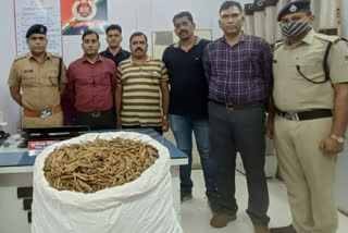 cannabis seized in thane