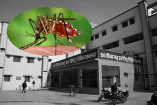 dengue patient rushed to hospital