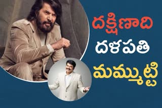 Mammootty Film Career Special News