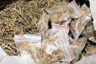 Ganja worth 1.5 crores seized at Jaipur International airport