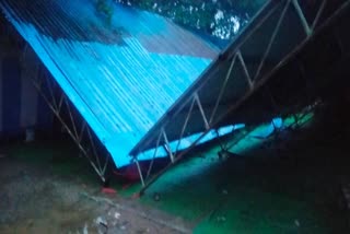 tin shed collapses