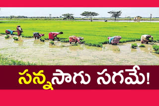 PADDY: సన్నసాగు విస్తీర్ణం పెంచడంలో విఫలమైన వ్యవసాయశాఖ