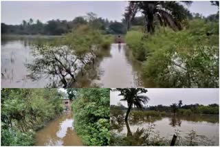 heavy water logger situation in village of balasore people wait for relief