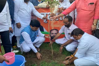 Shahnawaz Hussain planted a tree on PM Modi birthday in Patna