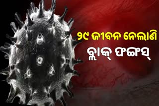 ରାଜ୍ୟରେ 29 ଜଣଙ୍କ ବ୍ଲାକ୍‌ ଫଙ୍ଗସ୍‌ରେ ମୃତ୍ୟୁ