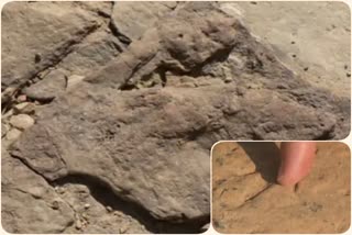 dinosaurs used to roam in jaisalmer