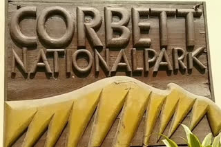 Corbett Park