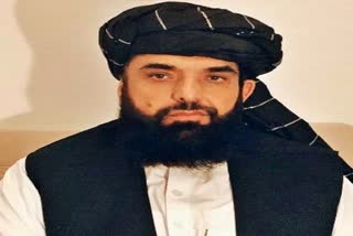 Taliban nominates Suhail Shaheen as Afghanistan's UN ambassador