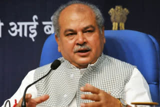 Union Agriculture Minister Narendra Singh Tomar