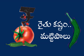 tomato-and-green-chilli-prices-fall-in-rayalaseema