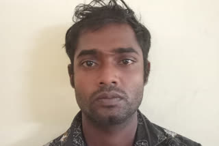 Minor girl molested  thevalakkara  Young man arrested  തേവലക്കര  തേവലക്കര പീഡനം  യുവാവ് അറസ്റ്റില്‍  പോക്സോ കേസ്