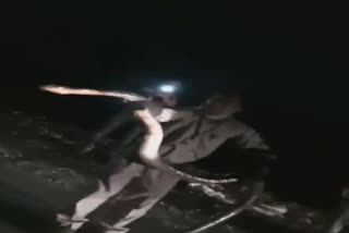 BHEL employees rescue 12 feet cobra in Uttarakhand's Haridwar