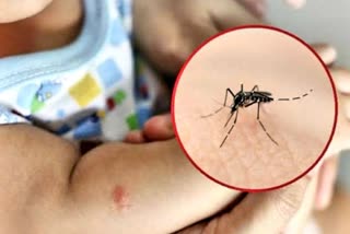 dengue-spreading-in-rainy-days
