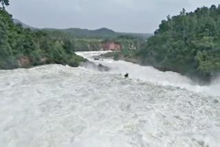 প্রবল বর্ষণ, মুকুটমনিপুর জলাধার থেকে ছাড়া হল জল