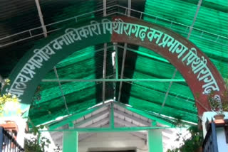 Forest Department