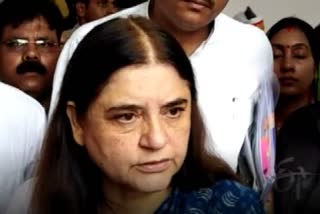 delhi-high-court-issued-notice-to-cbi-in-maneka-gandhi-case