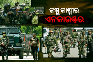 Shopian Encounter ; ଜଣେ ଆତଙ୍କୀ ନିପାତ, ସର୍ଚ୍ଚ ଅପରେସନ ଜାରି