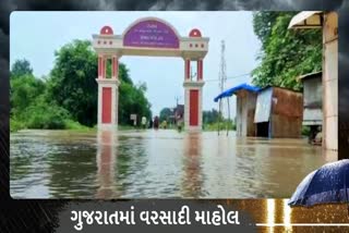 વડોદરા: વરસાદને લઈને વાઘોડિયાના અનેક ગામો પાણીમાં ગરકાવ, વહીવટી તંત્ર બન્યું સજ્જ