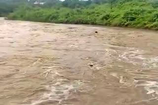 man-washed-away-in-doni-river-at-talikote